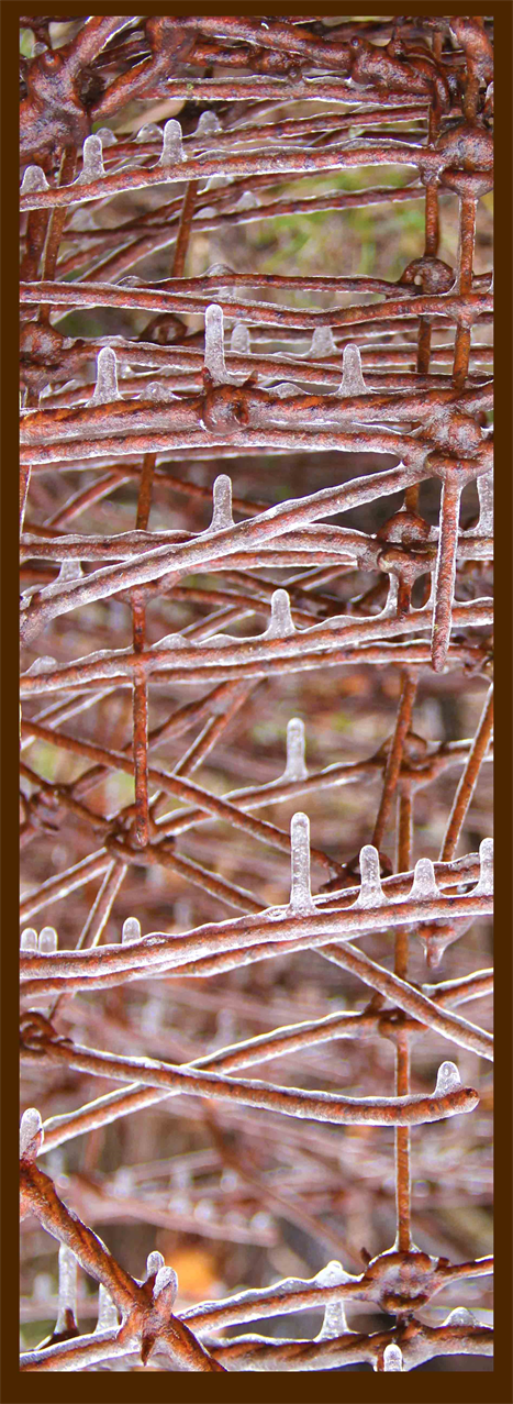 New York Art Galleries.
The ICE Fine Art Exhibit
Latest Art Release in NYC.
Pictures of ICE Photography.
New York Artist DAPACU.